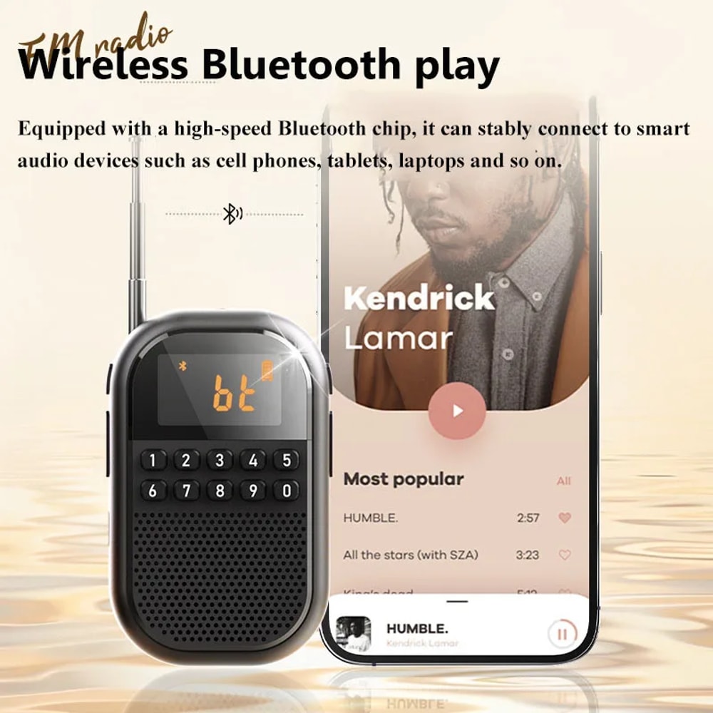 Mini Portable FM AM Radio With Bluetooth TF Card Music Player 4