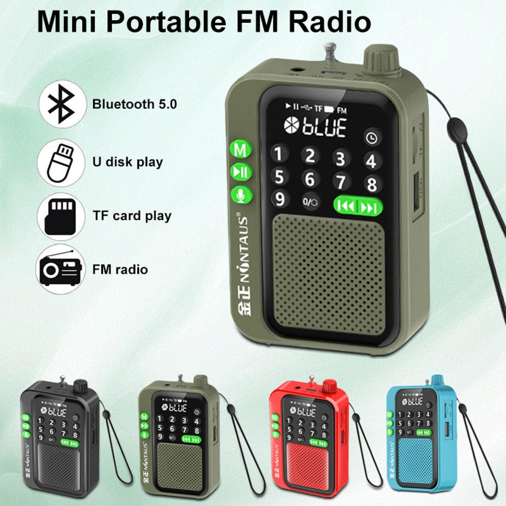 Mini Portable FM Radio Bluetooth Speaker With TF Card U Disk Music Player Wireless HD Recording An 2
