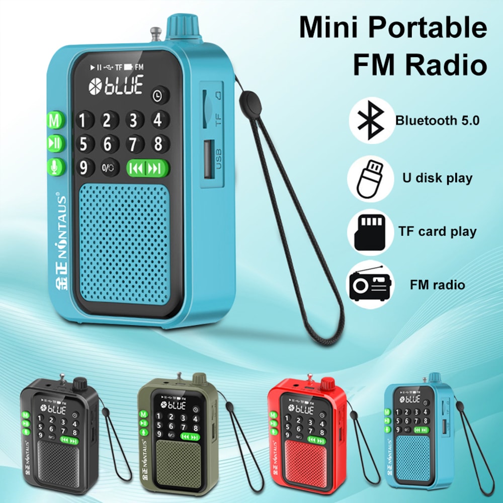 Mini Portable FM Radio Bluetooth Speaker With TF Card U Disk Music Player Wireless HD Recording An 1