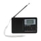 Portable Digital Full Band Radio With Alarm Clock And Memory Function AM FM SW Reception 1