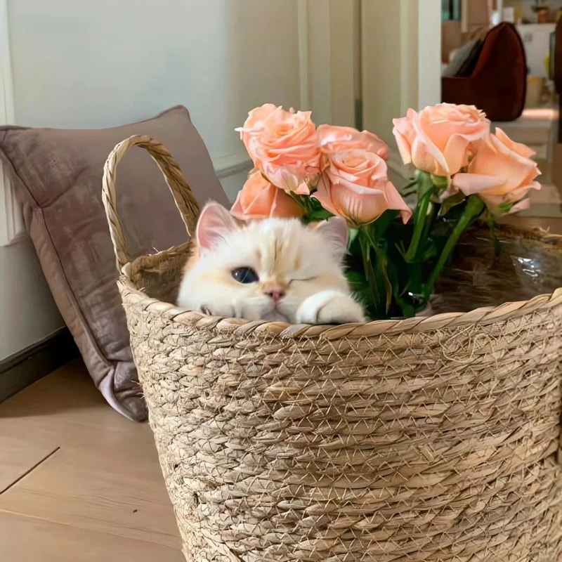 Portable Full Band Shortwave Radio Receiver With LCD Display High Sensitivity Tuner 2