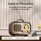 Portable Radio With RGB Mood Light Wireless FM AM SW Radio Vintage Style Party Speaker With Multic 3