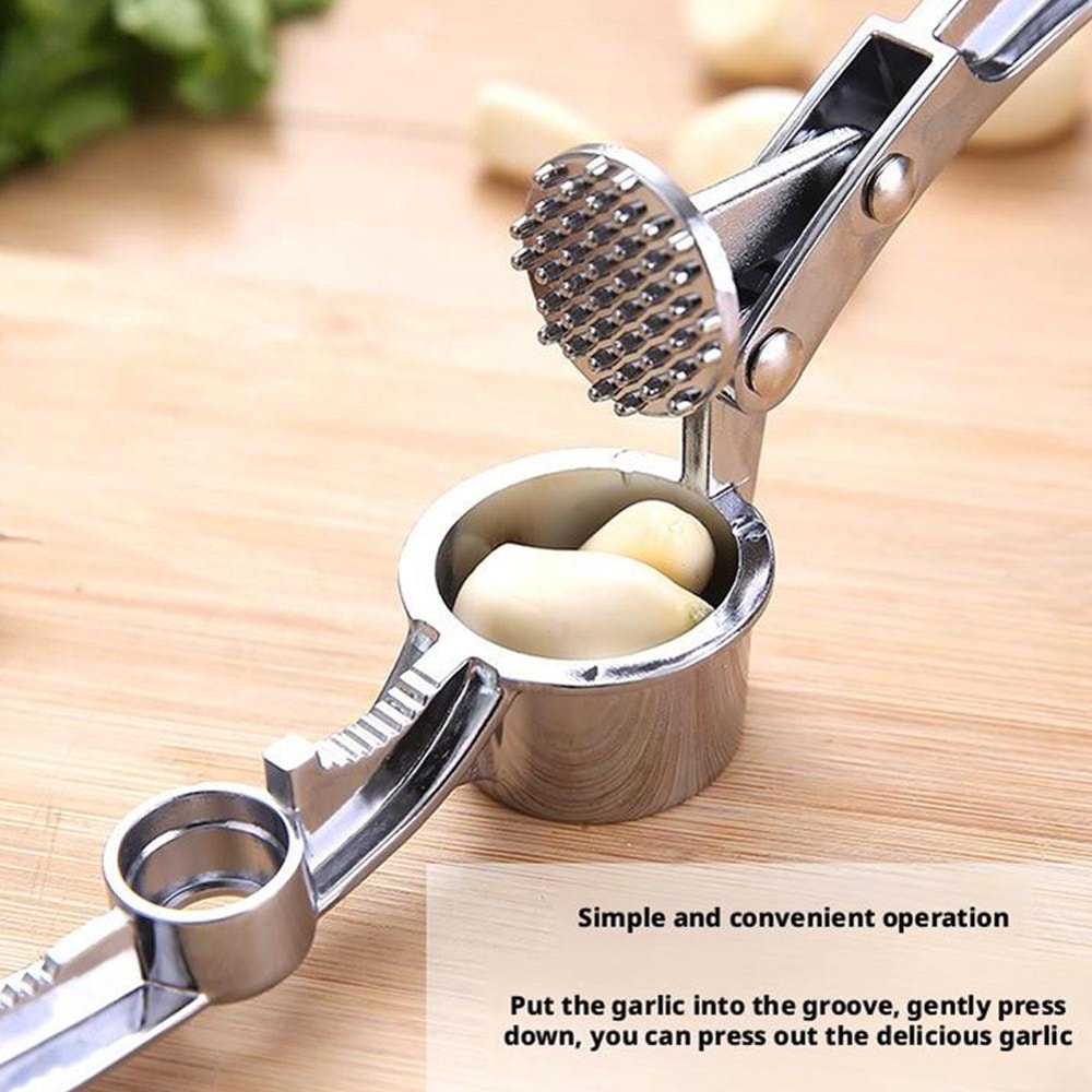 Stainless Steel Garlic Press Crusher Mincer Storage Kitchen Tool 1