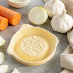 ceramic garlic grater plate with juice spout hand grater dish for ginger cheese lemon