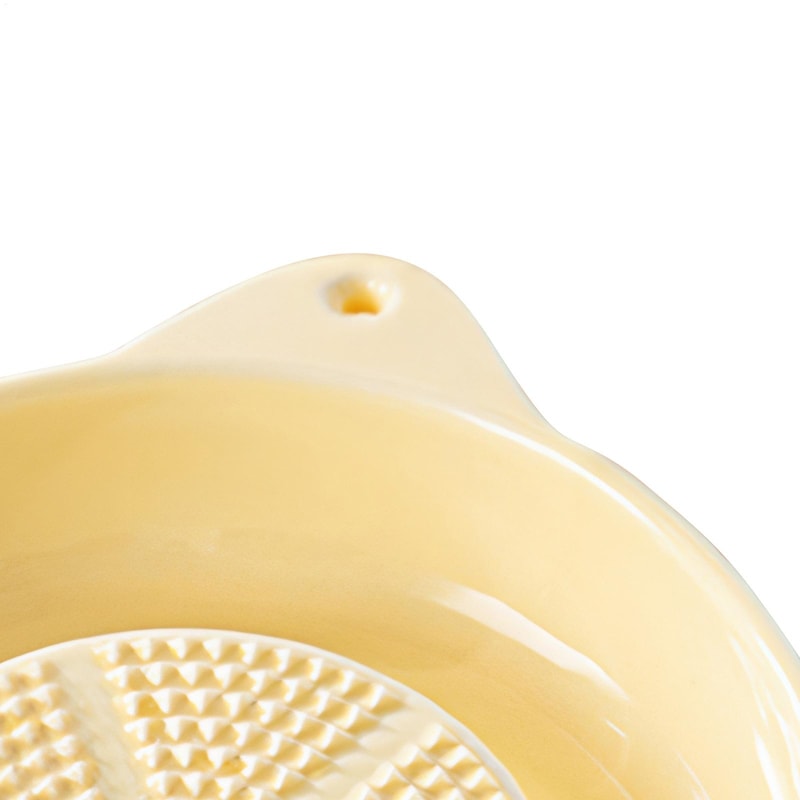 Ceramic Garlic Grater Plate With Juice Spout Hand Grater Dish For Ginger Cheese Lemon 5