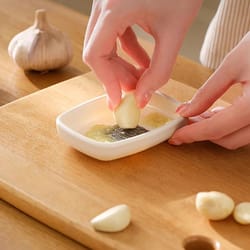 manual garlic crusher & ginger grater easy garlic grinder & kitchen vegetable tool for fast fresh prep