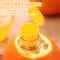 Manual Citrus Juicer Orange Squeezer Lemon Press Tool 2
