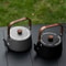 Portable Camping Kettle With Wooden Handle Lightweight Outdoor Teapot Coffee Pot 0