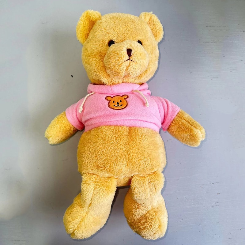Hidden Safe Teddy Bear Plush With Secret Storage Pocket For Money Jewelry Gifts 6