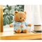 Hidden Safe Teddy Bear Plush With Secret Storage Pocket For Money Jewelry Gifts 9
