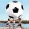 Kids Jumbo Beach Soccer Ball Outdoor Play PVC Lightweight Football Toy 2