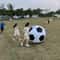 Kids Jumbo Beach Soccer Ball Outdoor Play PVC Lightweight Football Toy 6