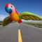Inflatable Flying Parrot Decoration for Tropical Party Beach Pool Fun