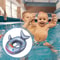 Shark Inflatable Pool Float Seat For Kids Fun Inflatable Swim Ring Summer Water Toy 2