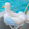 Seagull Inflatable Arm Float Ring For Teens Durable PVC Swimming Arm Bands 3