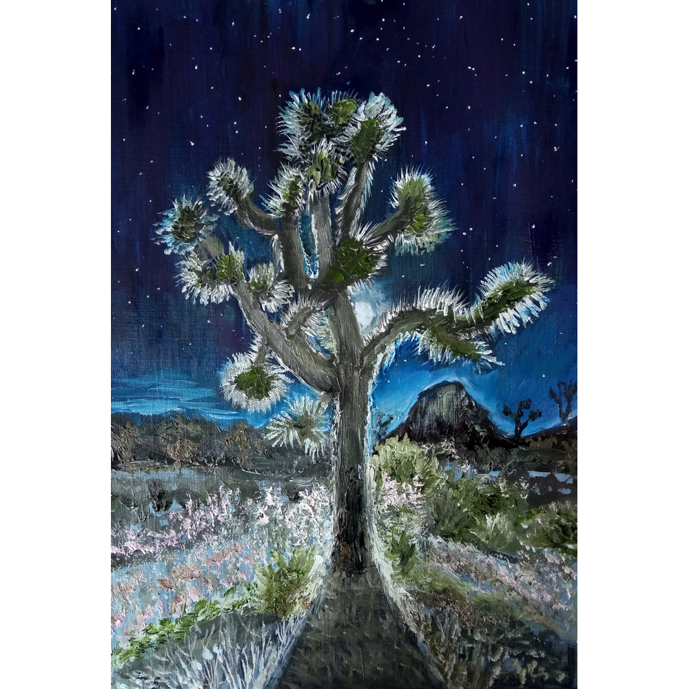 Joshua tree in Moonlight.jpg