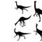 Dinosaur gallimimus silhouette4.jpg