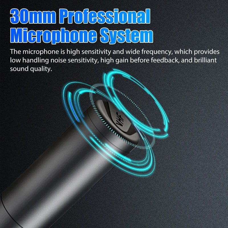 Wireless Mic Professional Handheld Microphone System USB Receiver 9
