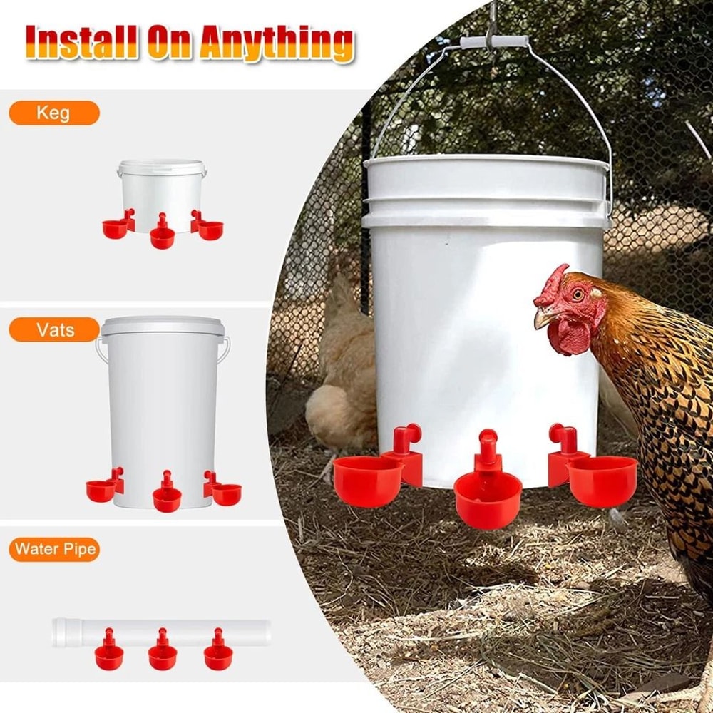 Automatic Chicken Waterer Poultry Watering Cups Drinker LeakProof Easy To Clean 6