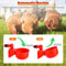Automatic Chicken Waterer Poultry Watering Cups Drinker LeakProof Easy To Clean 8