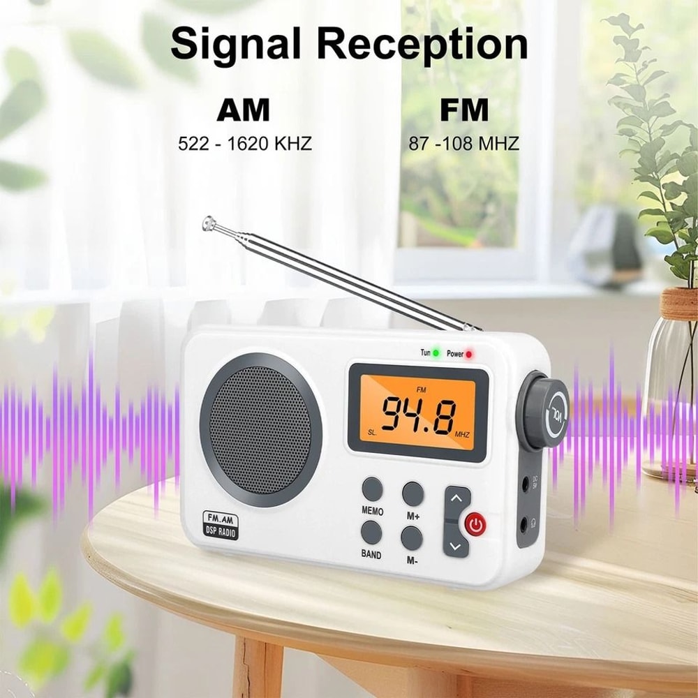 Clear Loud Digital Radio Player With LCD Screen And Rechargeable Battery 9