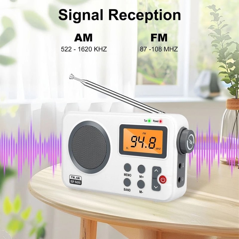 Clear Loud Digital Radio Player With LCD Screen And Rechargeable Battery 9