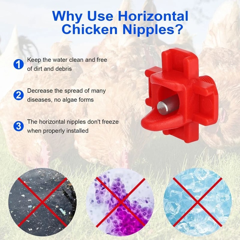 Poultry Drinking System With Automatic Waterer And Chicken Nipples Ideal For Ducks Hens And Quails 6