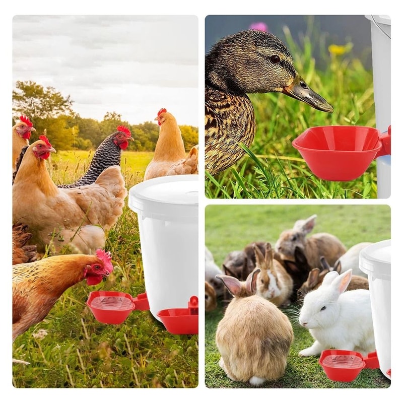 Coop Bucket Setup Red Automatic Chicken Waterer Cups With Drill Bit For Poultry Birds 1