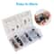 Clip Trim Panel Retainer Kit Durable ZincPlated Steel MultiPurpose UClips 4