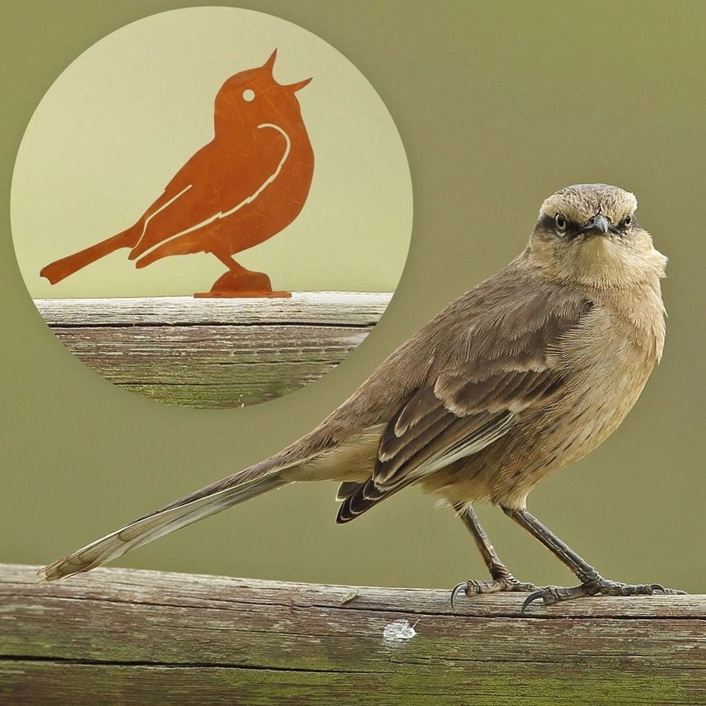 Rustic Metal Bird Art Ornament Yard Garden Bird Decor For Home And Outdoor 4