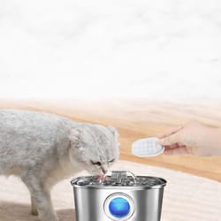 pet water filter sponges for fountain - replacement filters for dogs & cats