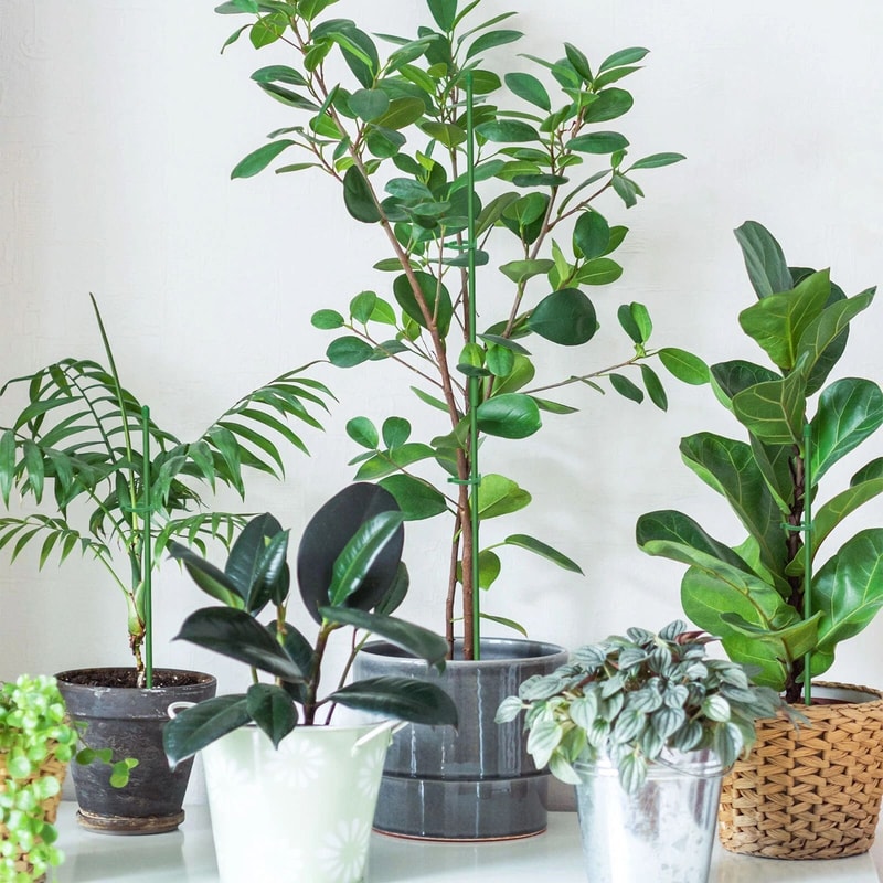 Garden Plant Support Stakes Adjustable Plant Sticks For Tomato Climbing Vines 1