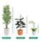 Garden Plant Support Stakes Adjustable Plant Sticks For Tomato Climbing Vines 2