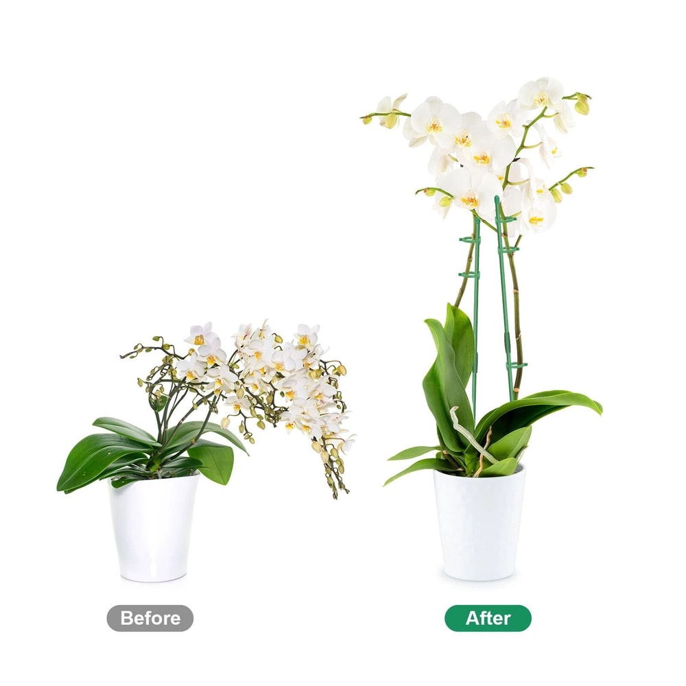 Garden Plant Support Stakes Adjustable Plant Sticks For Tomato Climbing Vines 4