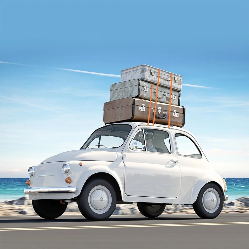 Adjustable Cam Buckle Tie Down Lashing Straps With Buckles HeavyDuty Load Securing 0