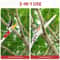Telescopic Pole Pruner Fruit Picker Tree Branch Cutter Adjustable Lightweight 5