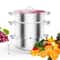 Stainless Steel Steam Juicer With Hose 3