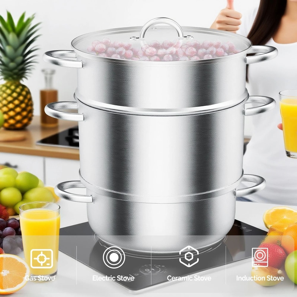 Stainless Steel Steam Juicer With Hose 5