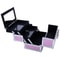 Aluminum Makeup And Jewelry Storage Box Cosmetic Button Lock Organizer For Travel 2