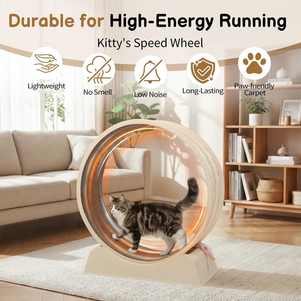 Large Cat Exercise Wheel With Lock Cat Treadmill For Indoor Play 3
