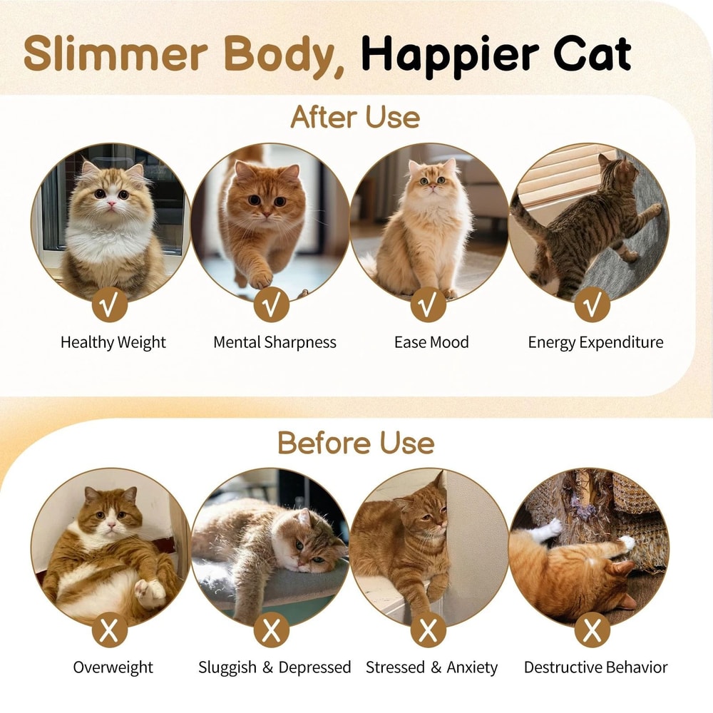 Large Cat Exercise Wheel With Lock Cat Treadmill For Indoor Play 5