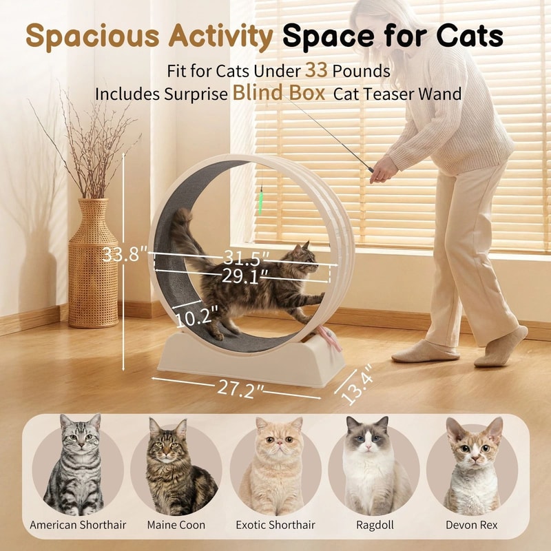 Large Cat Exercise Wheel With Lock Cat Treadmill For Indoor Play 7