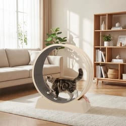 large cat exercise wheel with lock – cat treadmill for indoor play