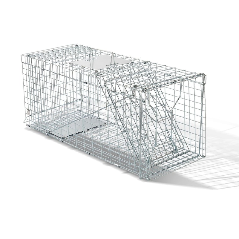 Humane Live Animal Cage Trap For Rodents Raccoons Durable Iron Door Design 7