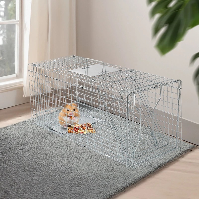Humane Live Animal Cage Trap For Rodents Raccoons Durable Iron Door Design 0