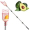 Adjustable Fruit Picker Pole With Basket Harvesting Tool 2