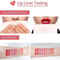 Women Waterproof Matte Lipstick Set With LongLasting Lip Liner And Lip Pen 1