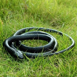 lifelike fake snake toy – scary rubber prank for garden, party, and jokes