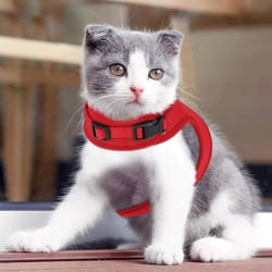 large escape proof cat harness - soft mesh adjustable walking chest for kittens