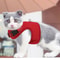 Large Escape Proof Cat Harness Soft Mesh Adjustable Walking Chest For Kittens And Small Pets 4